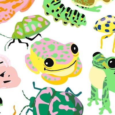 Bugs and frogs wrap