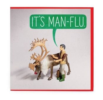 Grippe humaine