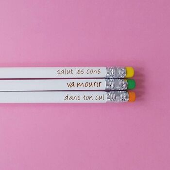 Lot 3 crayons insultes humour couleurs petit cadeau noël,Cadeau de noël,décor de noël , Holiday 1