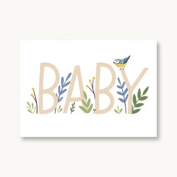 Carte postale pour la naissance de bébé mésange bleue 1