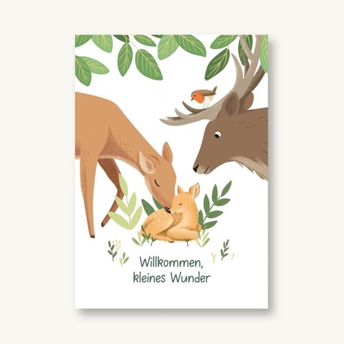 Postkarte Willkommen kleines Wunder zur Geburt Waldtiere