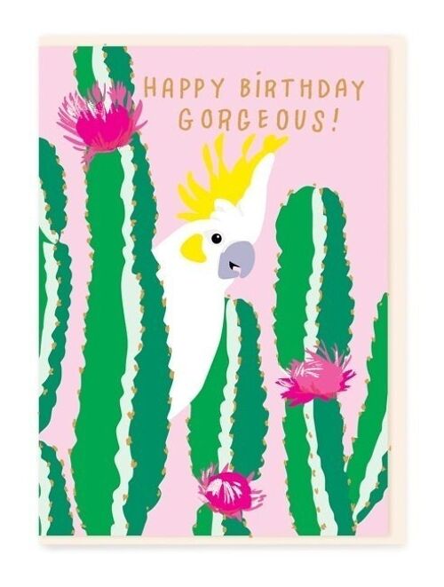 Parrot in a cactus