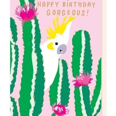 Parrot in a cactus
