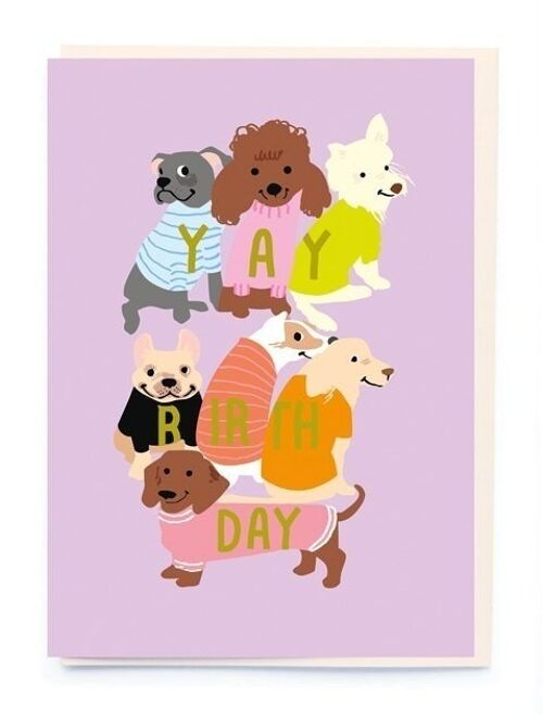 Dogs in letter jumpers