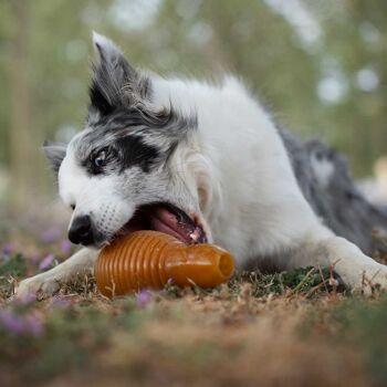 Frottez le jouet rebondissant pour chien 8