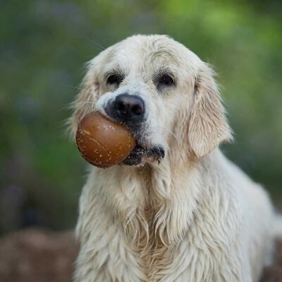 Juguete para perros Rub ball