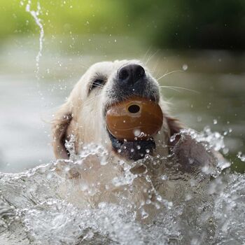 Jouet pour chien avec boule de frottement 9