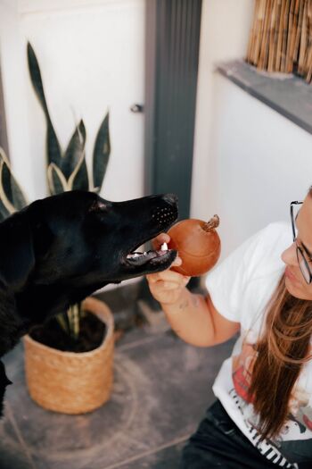 Jouet pour chien avec boule de frottement 21