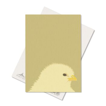 Carte postale de printemps pour les voeux de Pâques, carte postale avec des poussins en vert tendre, carte d'animaux en carton de pâte de bois, carte pour enfants, DIN A6 2