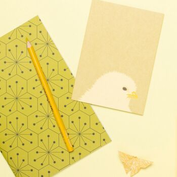 Carte postale de printemps pour les voeux de Pâques, carte postale avec des poussins en vert tendre, carte d'animaux en carton de pâte de bois, carte pour enfants, DIN A6 9