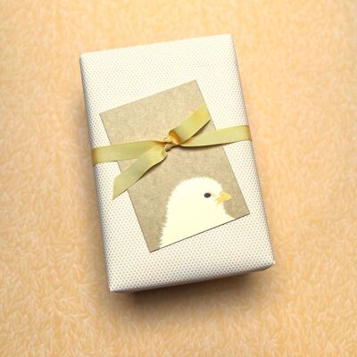 Postal de primavera para felicitaciones de Pascua, postal con pollitos en verde suave, tarjeta de animales hecha de cartón de pulpa de madera, tarjeta para niños, DIN A6
