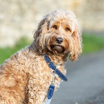 Collier pour chien en tissu et cuir suédé - Bleu 2