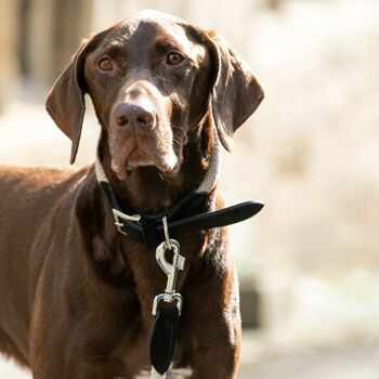 Collier pour chien en corde et cuir suédé - Noir 5