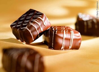 Callebaut N° 823 (Cacao : 33,6%) - Chocolat de Couverture au Lait - Belge - Finest Belgian Milk Chocolate (Callets) 400g 3