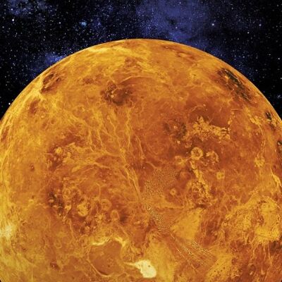 Cuadro sobre lienzo Venus 40 X 50