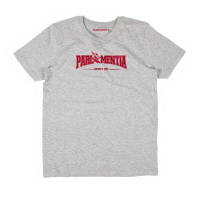 Camiseta niño gris - rojo College