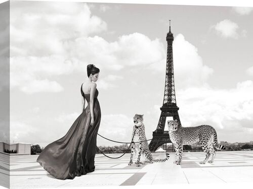 Quadro con fotografia fashion, stampa su tela: Julian Lauren, Trocadero View (detail)