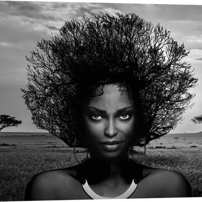 Quadro con fotografia artistica, stampa su tela: Julian Lauren, Serengeti Queen