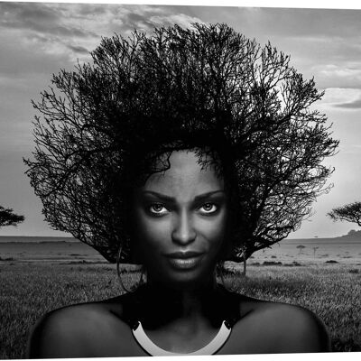 Quadro con fotografia artistica, stampa su tela: Julian Lauren, Serengeti Queen