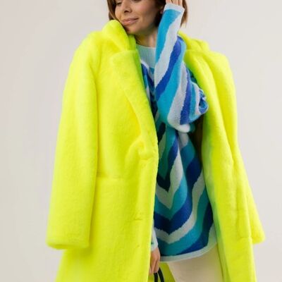 Yellow Setuber Coat