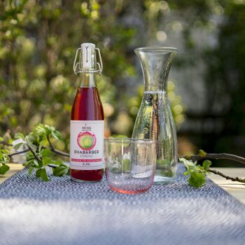 Essence de Sirop de Rhubarbe Bio 2