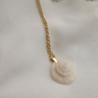 Sea snail Necklace