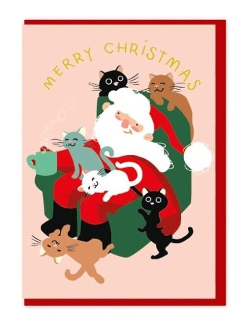 Santa cats