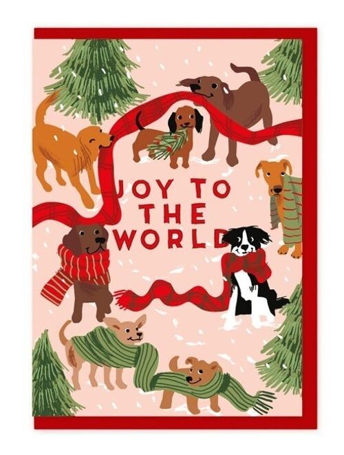 Dogs and Christmas scarves