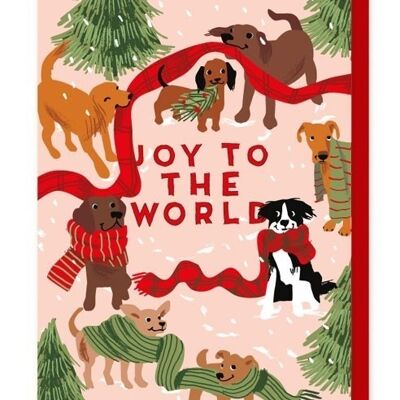 Dogs and Christmas scarves