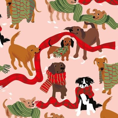 Dogs and Christmas scarves wrap