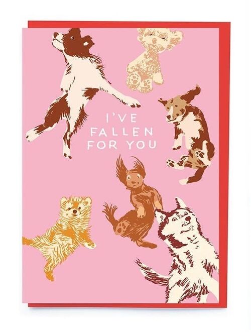 Dogs falling