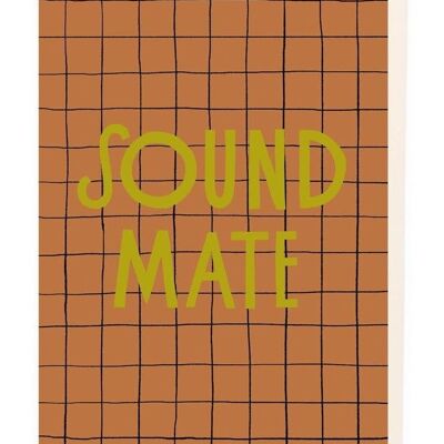 Sound mate