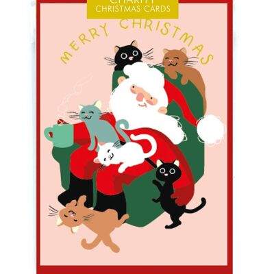 Charity bag santa cats