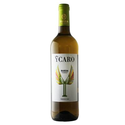 Weißwein Verdejo aus Rueda, Ycaro