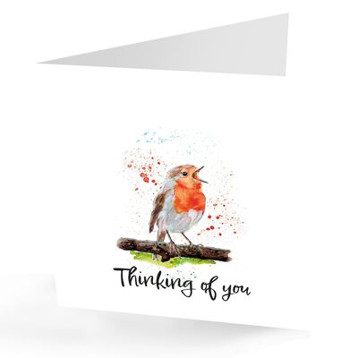 Thinking of You' Robin Greetings Card.