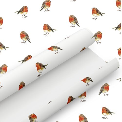 Cute Robin Wrapping Paper