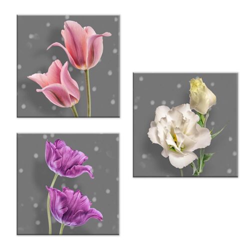Set 3 pezzi Quadri su tela tema floreale Canvas Day 38x38 cm FLOWER GREY