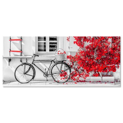 Quadro Moderno con stampa su tela materica a rilievo Bicicletta con fiori rossi PICTURES Bike Bouganville Red
