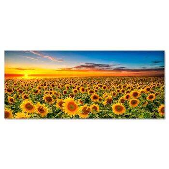 Tableau moderne avec relief imprimé sur toile PHOTOS Champ de tournesols au coucher du soleil 1