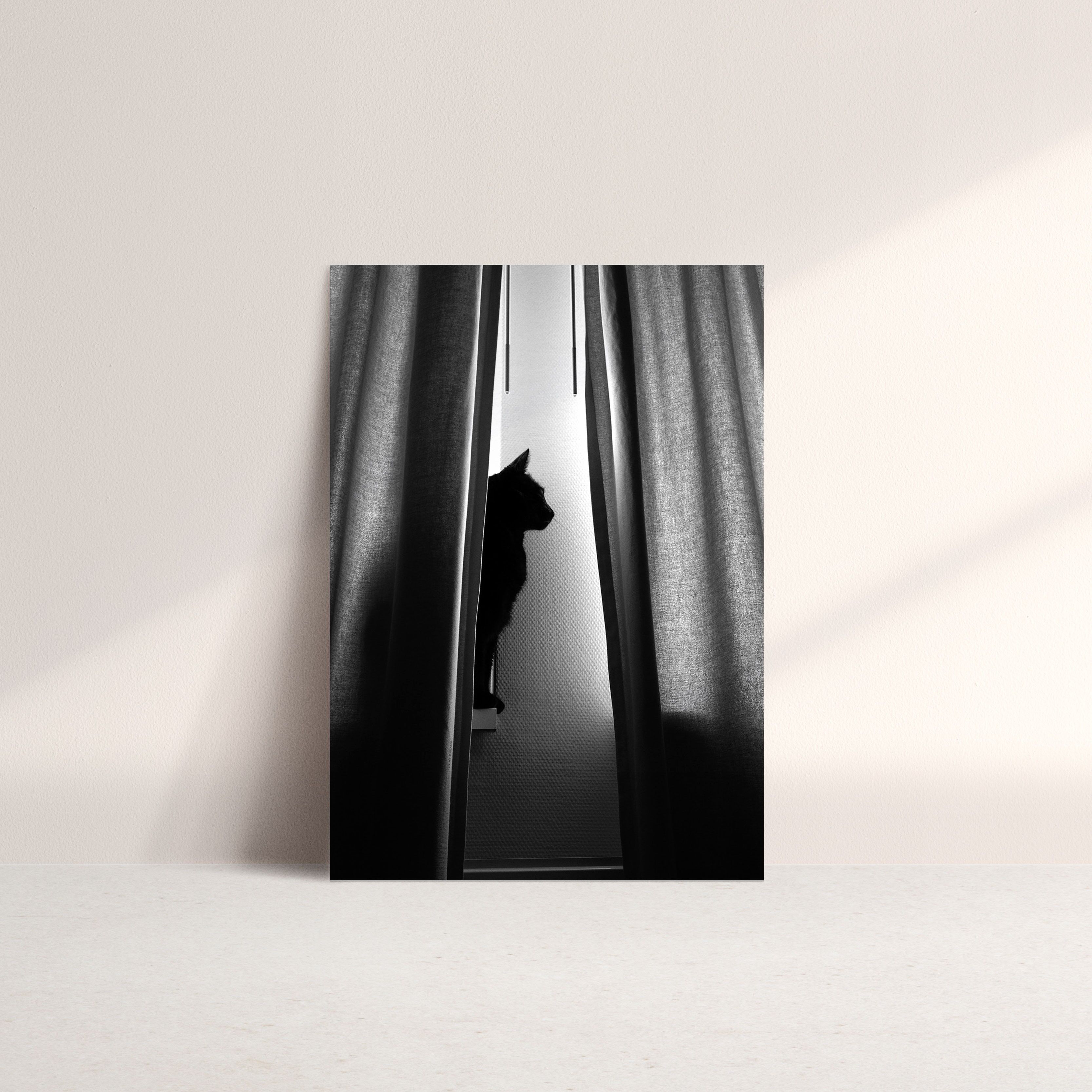 Carte photo A5 chat noir