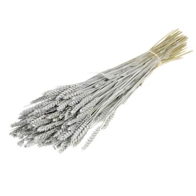 Trigo seco, aprox.150 g, 60-65cm, gris encalado