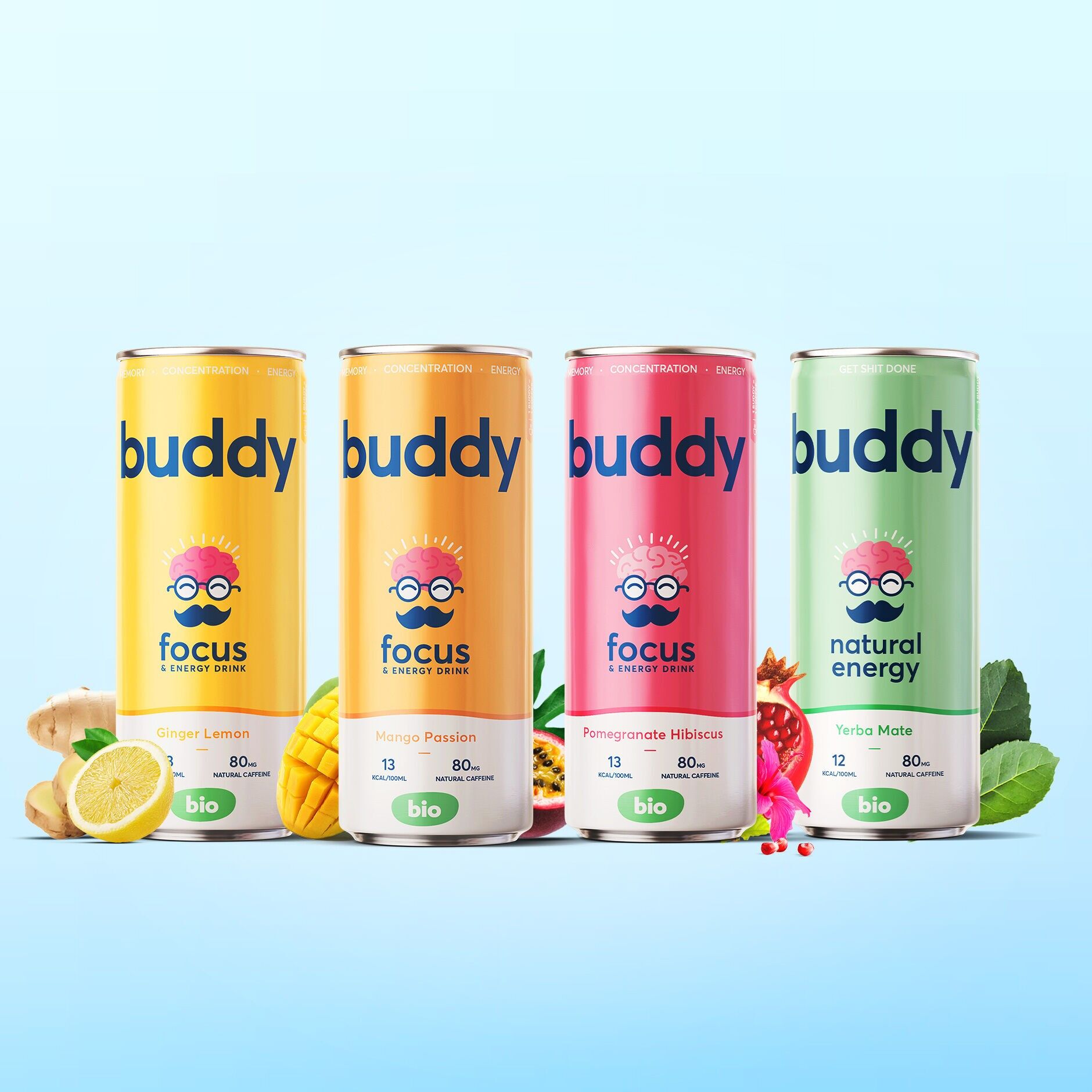 Boisson énergisante naturelle bio - Mix de saveur (250ml)