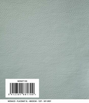 Set de table Monaco XL | Aspect cuir | cuir végétalien | 48x35cm 16