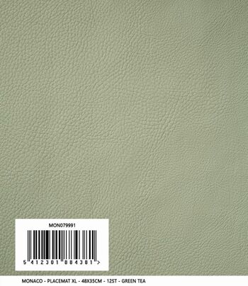 Set de table Monaco XL | Aspect cuir | cuir végétalien | 48x35cm 18