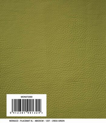 Set de table Monaco XL | Aspect cuir | cuir végétalien | 48x35cm 21