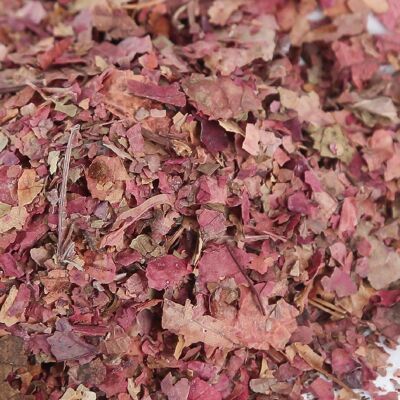 Organic red vine - leaf