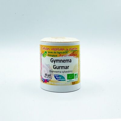 Gymnema Sylvestris BIO