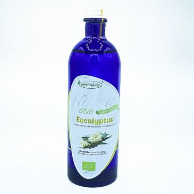 Organic eucalyptus globulus floral water