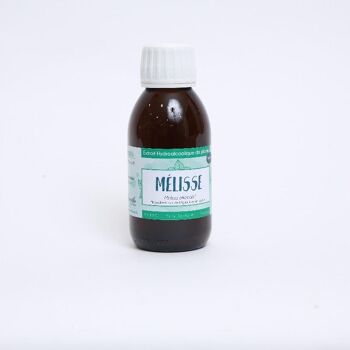 Mélisse officinale BIO