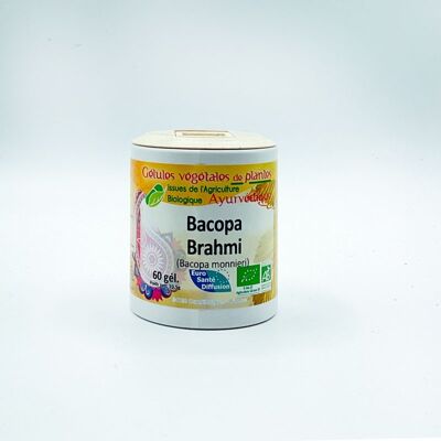 Bacopa Monnieri Orgánica / Brahmi